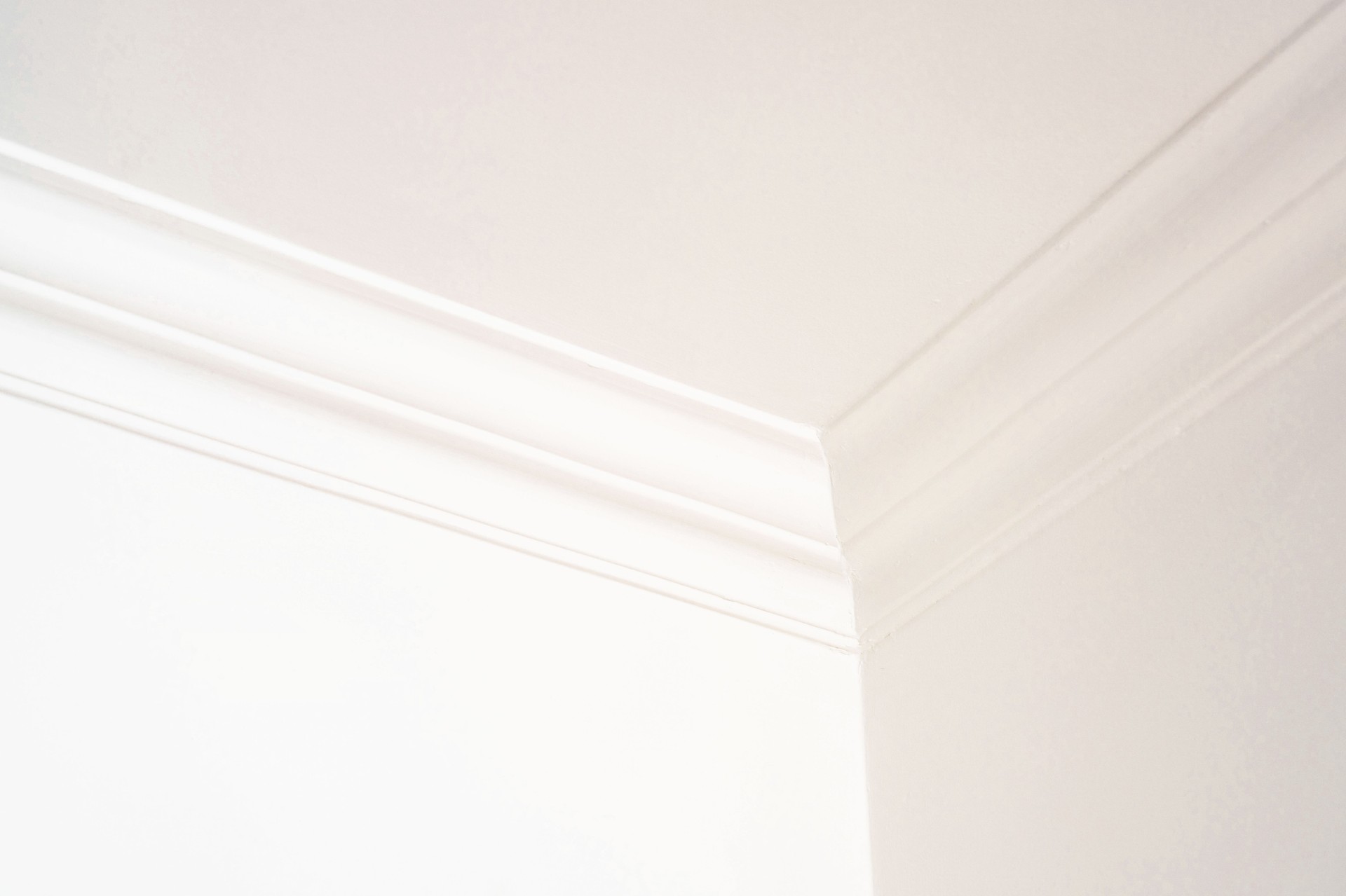 Modern wall and ceiling plaster